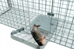 Profesionalus narvas - spąstai 150x34x34 cm kaina internetu