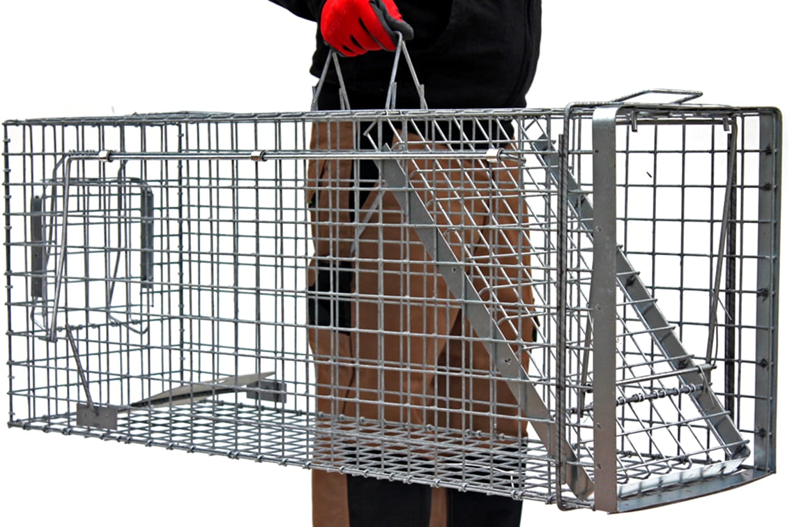 Profesionalus Narvas spąstai 80x34x34 Cm HARDY kaina internetu