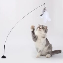 Puikus žaislas katei - meškerė kaina internetu