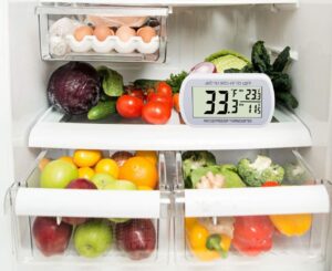 Šaldytuvo termometras kaina internetu