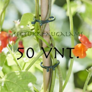 Segtukai augalams 50 vnt. kaina internetu
