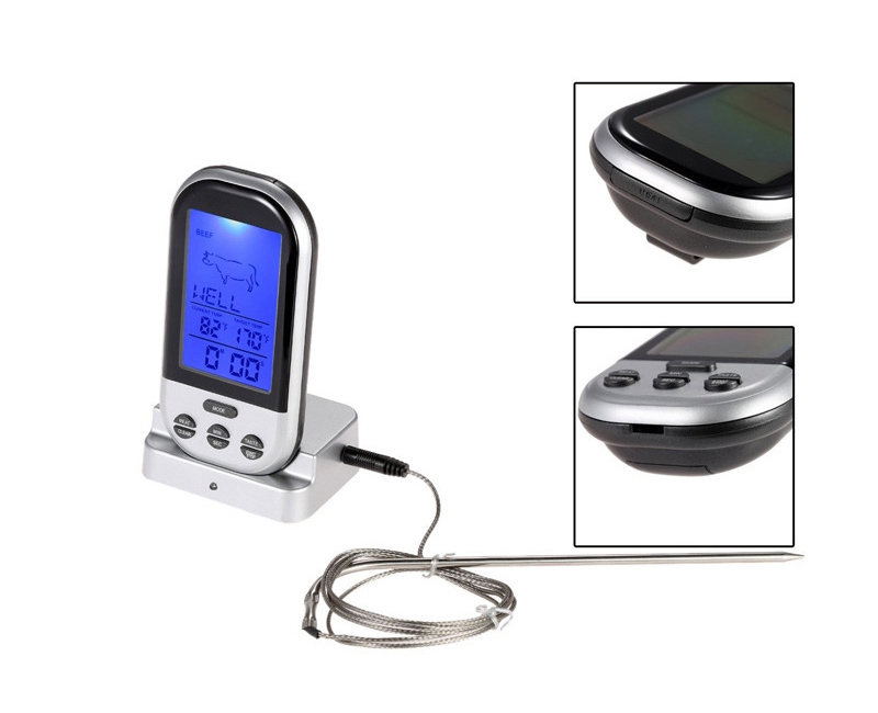 Skaitmeninis Termometras su zondu kaina internetu