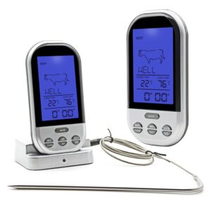 Skaitmeninis Termometras su zondu kaina internetu