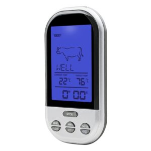 Skaitmeninis Termometras su zondu kaina internetu