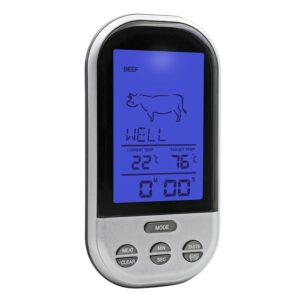 Skaitmeninis Termometras su zondu kaina internetu