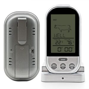 Skaitmeninis Termometras su zondu kaina internetu