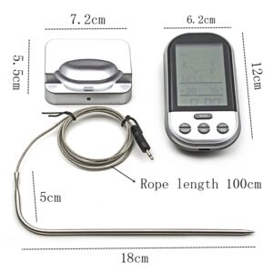Skaitmeninis Termometras su zondu kaina internetu