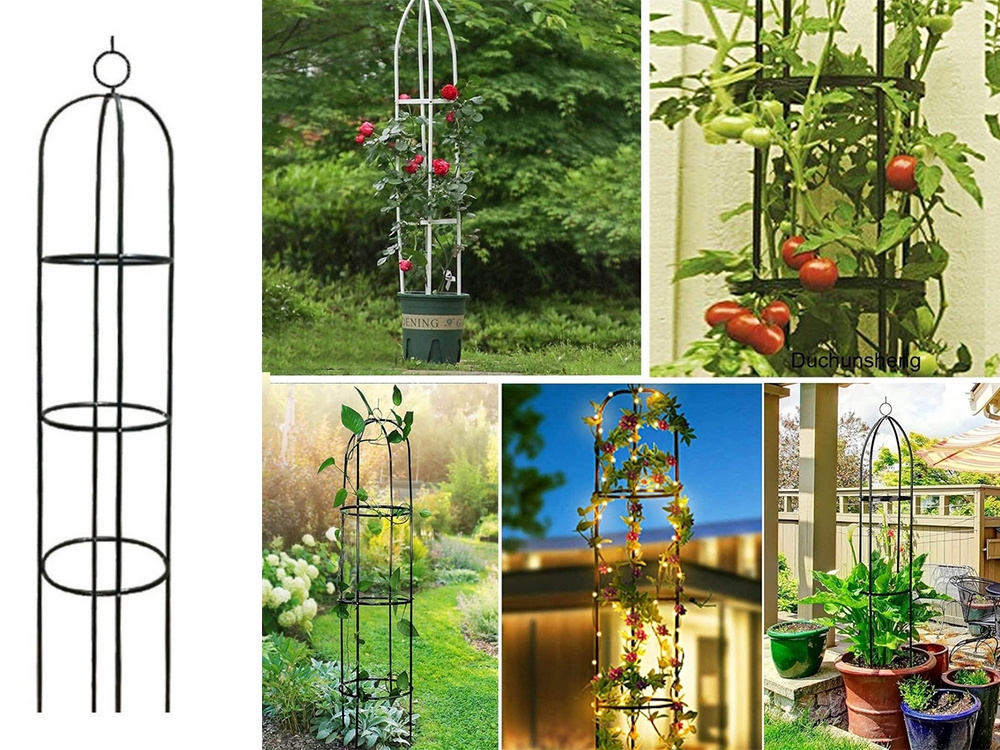 Sodo arka (obeliskas) kaina internetu