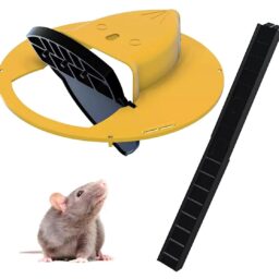 Spąstai pelėms kaina internetu