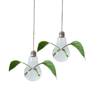 Stiklinė lemputė - terariumas kaina internetu