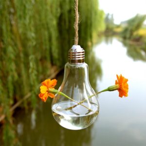 Stiklinė lemputė - terariumas kaina internetu