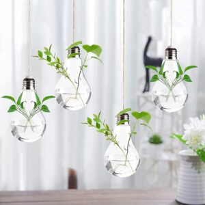 Stiklinė lemputė - terariumas kaina internetu