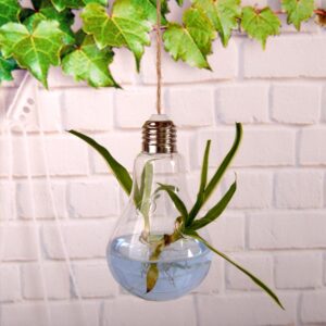 Stiklinė lemputė - terariumas kaina internetu