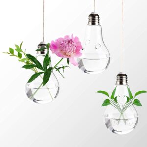 Stiklinė lemputė - terariumas kaina internetu