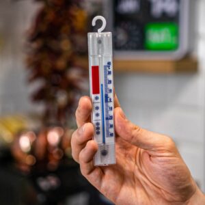 Termometras šaldytuvams ir šaldikliams (-40°C iki +40°C) kaina internetu