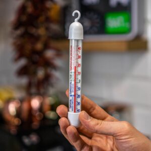Termometras šaldytuvams ir šaldikliams (-50°C iki +40°C) kaina internetu
