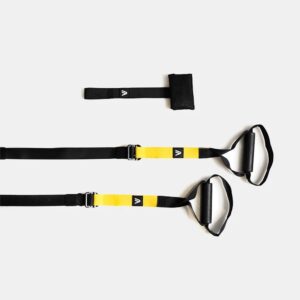 Treniruoklis TRX - ANALOG - P3 PRO kaina internetu