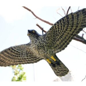 Vanago imitacija 70CM kaina internetu