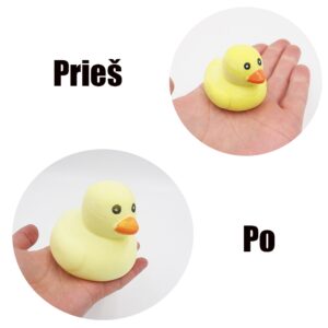 Vandenyje augantis ančiukas kaina internetu