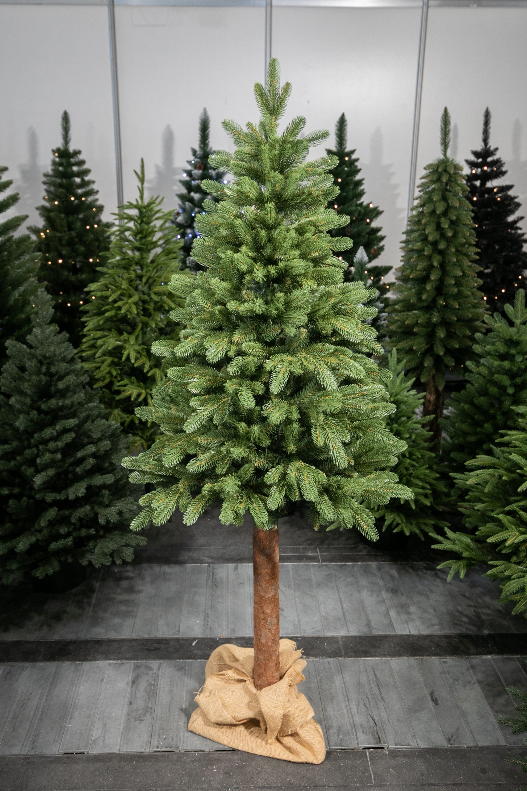150 cm Kalėdinė eglutė „Skandinaviškas kėnis“ kaina internetu