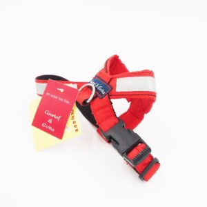 24/32 CM. Gustaf & Evita petnešos GE110305 kaina internetu