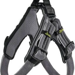 35-45 CM. Petnešos Hunter H93052 kaina internetu