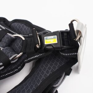35-45 CM. Petnešos Hunter H93052 kaina internetu