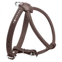 35 CM. Petnešos šunims Hunter H61669 kaina internetu
