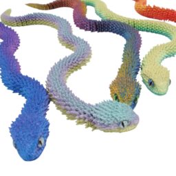 3D dekoracija "Gyvatė" kaina internetu