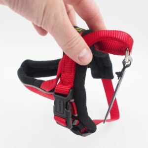 42-53 CM. Petnešos šunims Hunter H46388 kaina internetu