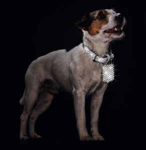 45 CM. Antkaklis Hunter H65363 kaina internetu