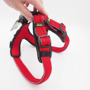 65-75 CM. Petnešos Hunter H93061 kaina internetu
