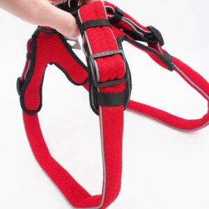 75-85 CM. Petnešos šunims Hunter H93062 kaina internetu