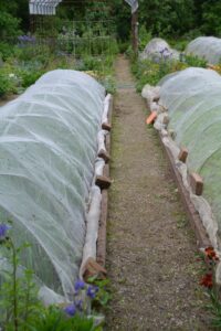 Agroplėvelė 1,6 x 10 m pavasarinė balta 17 g/m² kaina internetu