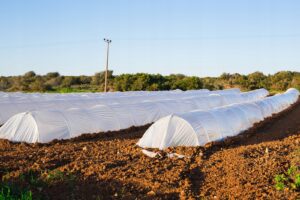 Agroplėvelė 1,6 x 10 m pavasarinė balta 17 g/m² kaina internetu