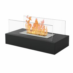 Biožidinys kaina internetu