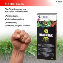 BLACKJAK huminės rūgštys įsišaknijimui, 100 ml kaina internetu