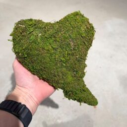 Dekoratyvinė samanų širdis (27 × 20 × 5 cm) kaina internetu