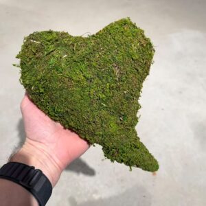 Dekoratyvinė samanų širdis (27 × 20 × 5 cm) kaina internetu