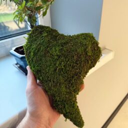 Dekoratyvinė samanų širdis (27 × 20 × 5 cm) kaina internetu