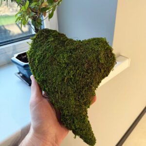 Dekoratyvinė samanų širdis (27 × 20 × 5 cm) kaina internetu