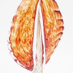 Dekoratyvinė stiklo skulptūra, 12×7×32.5 cm kaina internetu