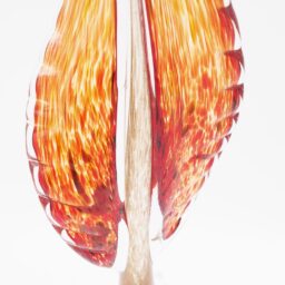 Dekoratyvinė stiklo skulptūra, 13×9×41 cm kaina internetu