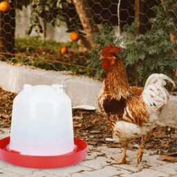 Dvipusė girdykla kaina internetu