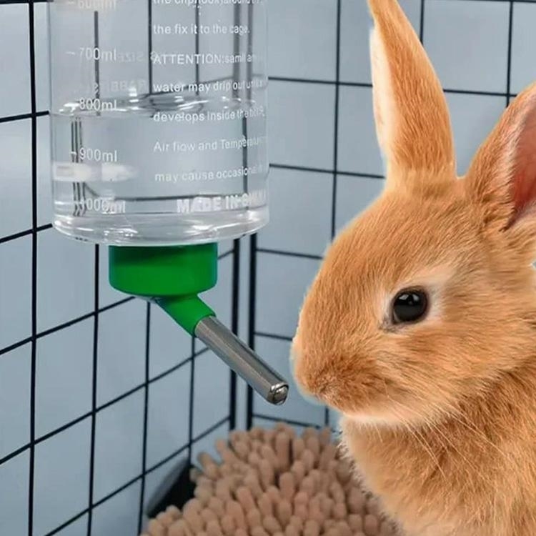 Girdykla Triušiams 1000ML kaina internetu