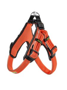 HUNTER Divo šunų petnešos XL (75–85 cm) kaina internetu
