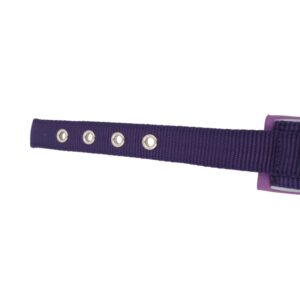 HUNTER violetinis nailoninis šunų antkaklis, 45 cm kaina internetu