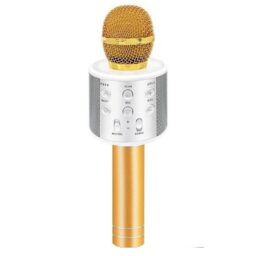 Išmanusis karaoke mikrofonas kaina internetu
