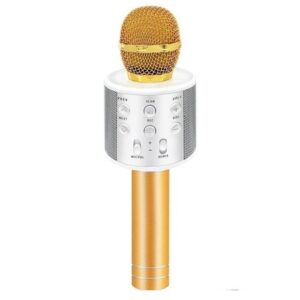 Išmanusis karaoke mikrofonas kaina internetu