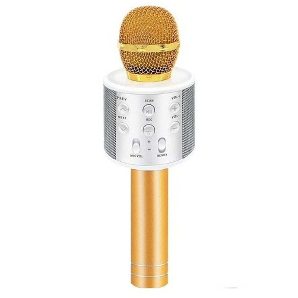 Išmanusis karaoke mikrofonas kaina internetu